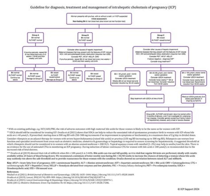 ICP Management Guidelines PDF: Essential Framework for Compliance