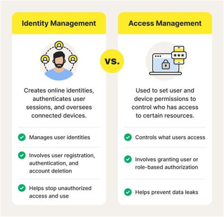 Identity and Access Management Strategy PDF: Secure Your Digital Perimeter