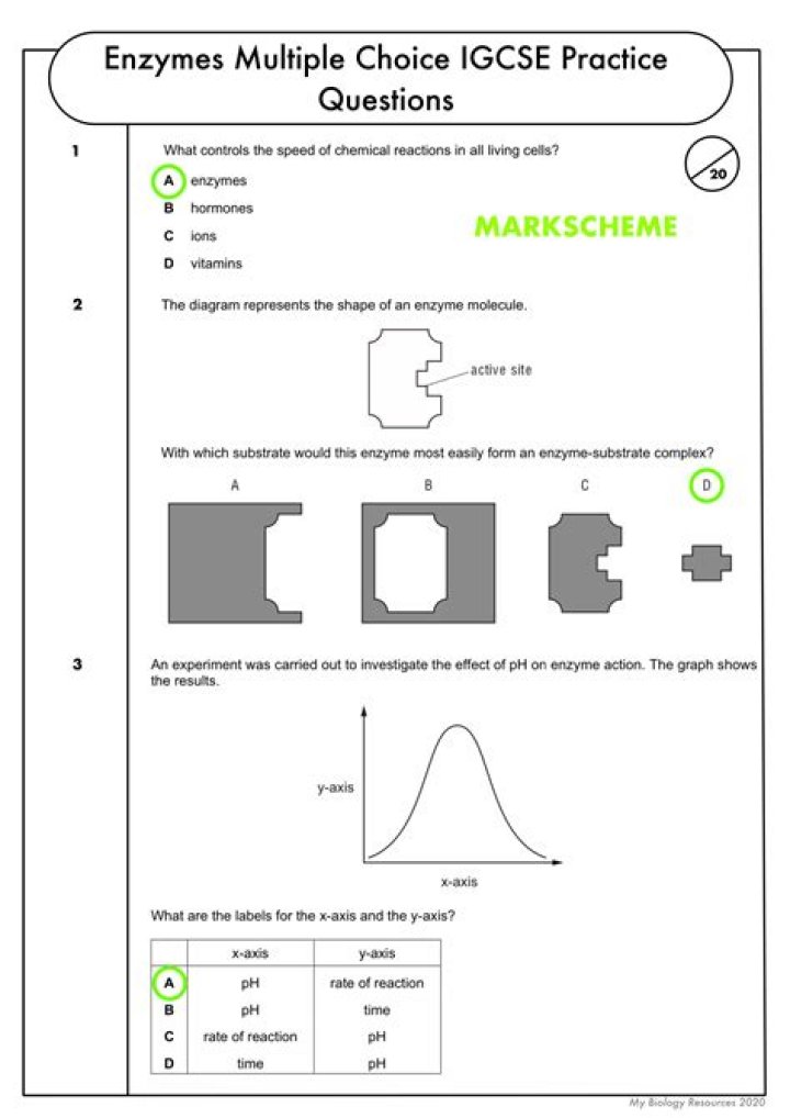 IGCSE Enzymes Questions and Answers PDF – Top Practice Resources