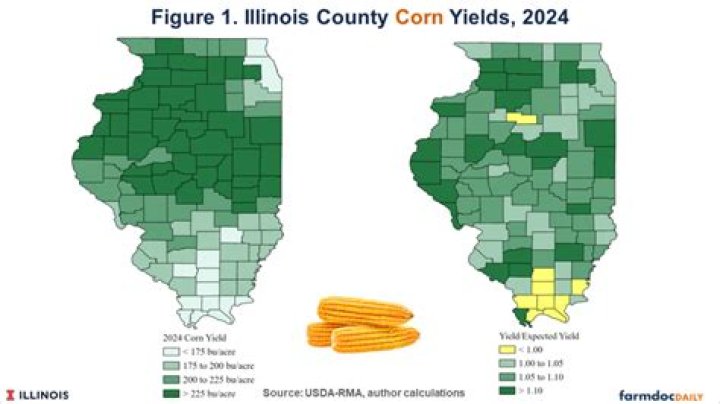 Illinois Corn Management 2024: Expert PDF Guide for Optimal Yields