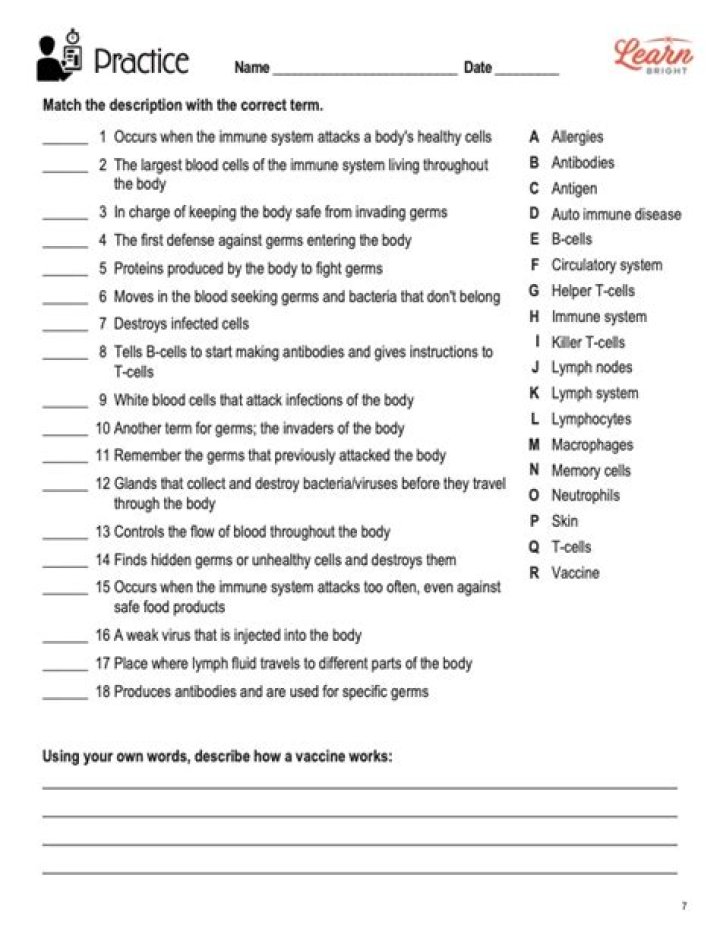 Immune System Worksheet Middle School PDF – Free Educational Resource