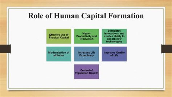 Why Human Capital Management PDF Matters for Business Success