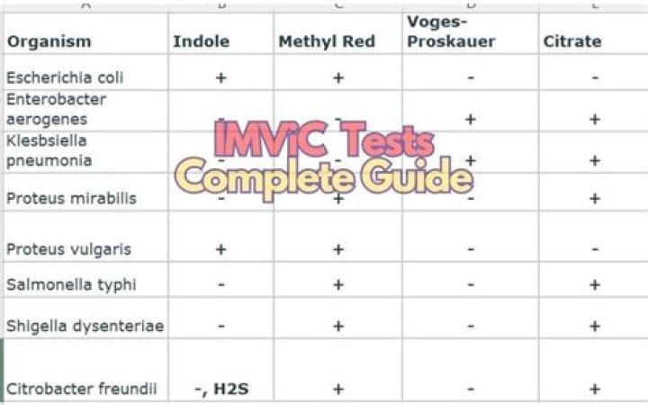 How to Pass Imvic Test: Official PDF Guide
