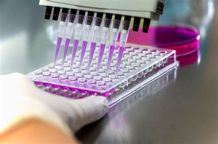 In Vitro Testing of Drugs: Comprehensive PDF Guide
