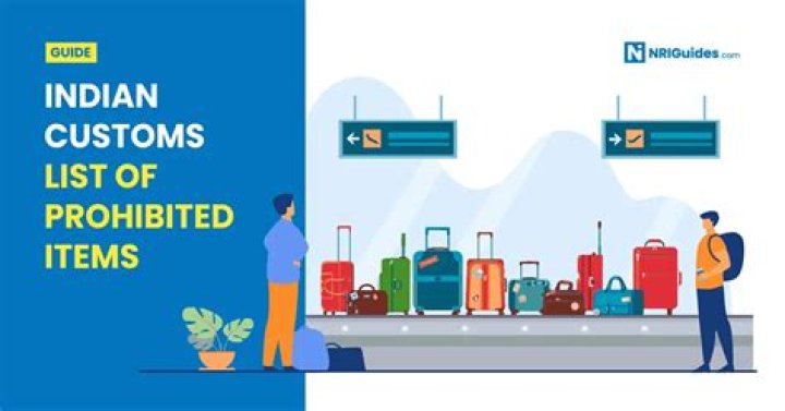 Indian Customs Restricted Items List PDF: What You Can’t Import