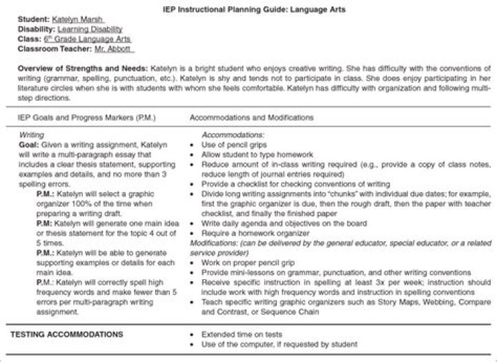 Individualized Education Plan IEP Sample for Learning Disabilities – Free PDF Download