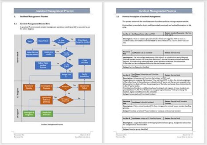 Mastering the Information Management Process: PDF Guide