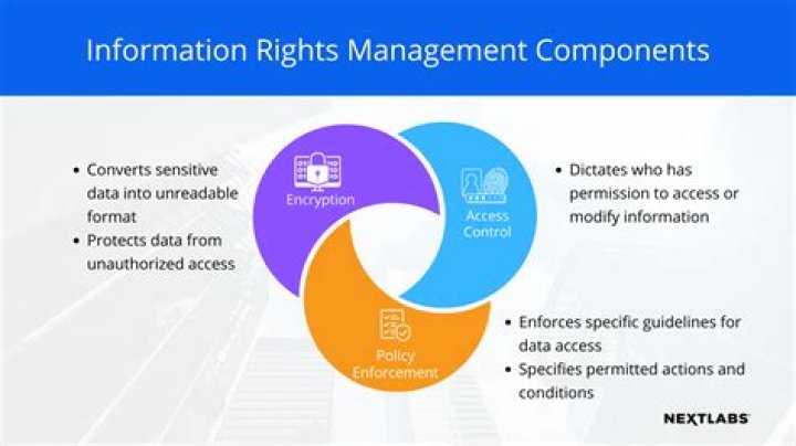 Information Rights Management PDF: Essential Guide