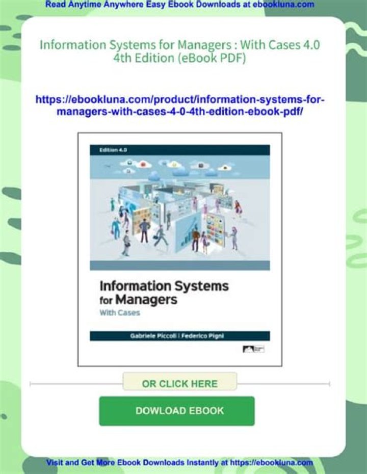 Information Systems for Managers with Cases Edition 4.0 PDF