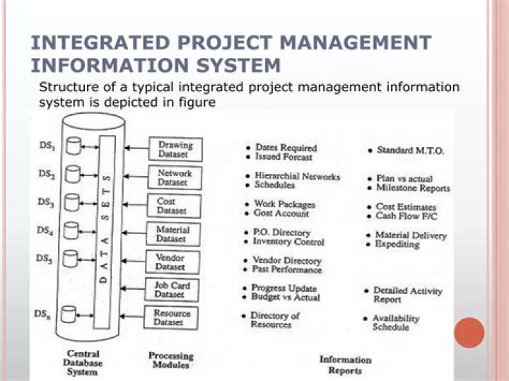Mastering Information Systems Project Management: A Process Approach PDF Guide
