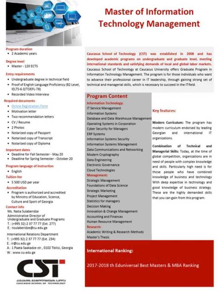 Essential Information Technology Management PDF Guide for Leaders