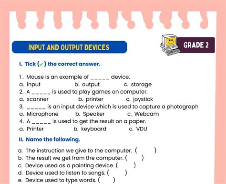 Input and Output Devices Questions and Answers PDF Guide