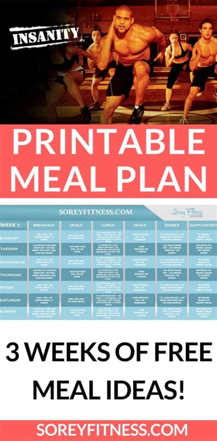 Insanity Meal Plan PDF: High-Protein, Ready-to-Cook Meals for Busy Lives