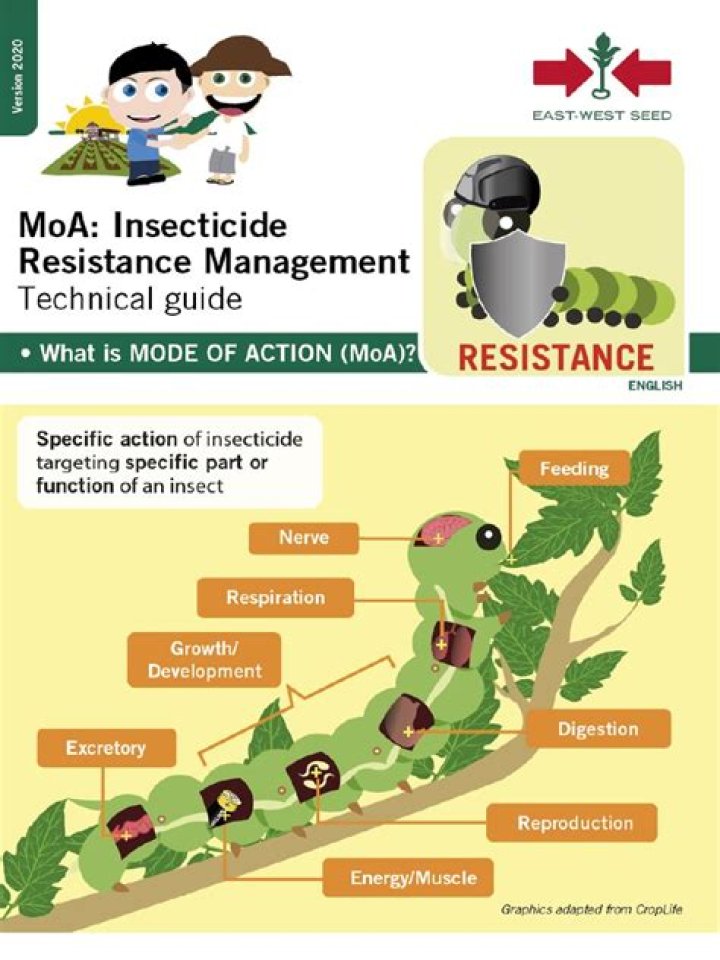Mastering Insecticide Resistance Management: Essential PDF Guide