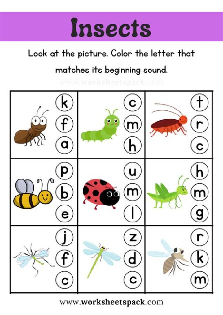 Insects Worksheets for Kindergarten PDF – Free Printable Learning Activities