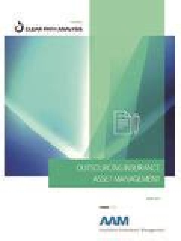 Insurance Asset Management PDF: Optimize Your Portfolio Efficiency