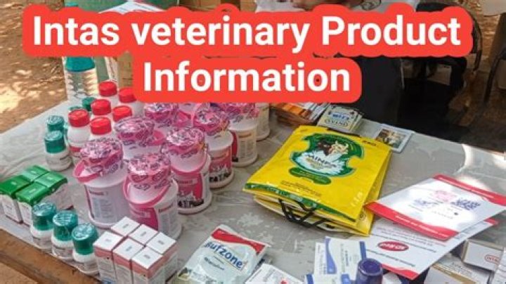 Intas Veterinary Products List PDF: Complete Guide to Top Medications & Supplies