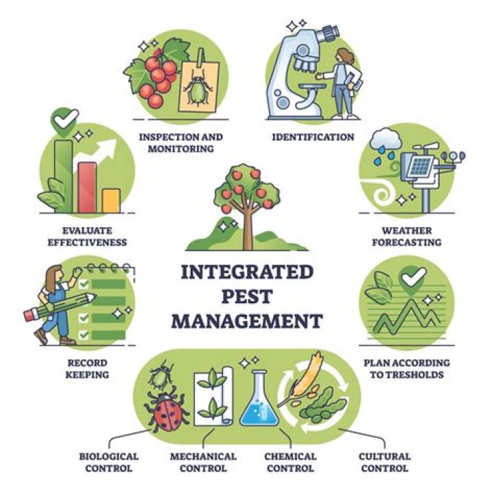 Integrated Pest Management in Vegetable Crops: Expert PDF Guide