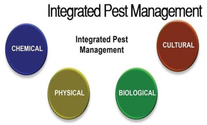 Integrated Pest Management Quiz Questions PDF Quiz – Download Now