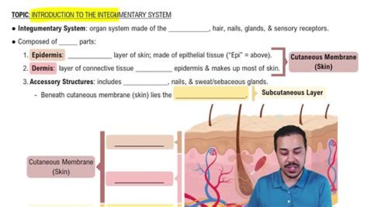 Integumentary System CPT Questions & Answers PDF for Medical Students