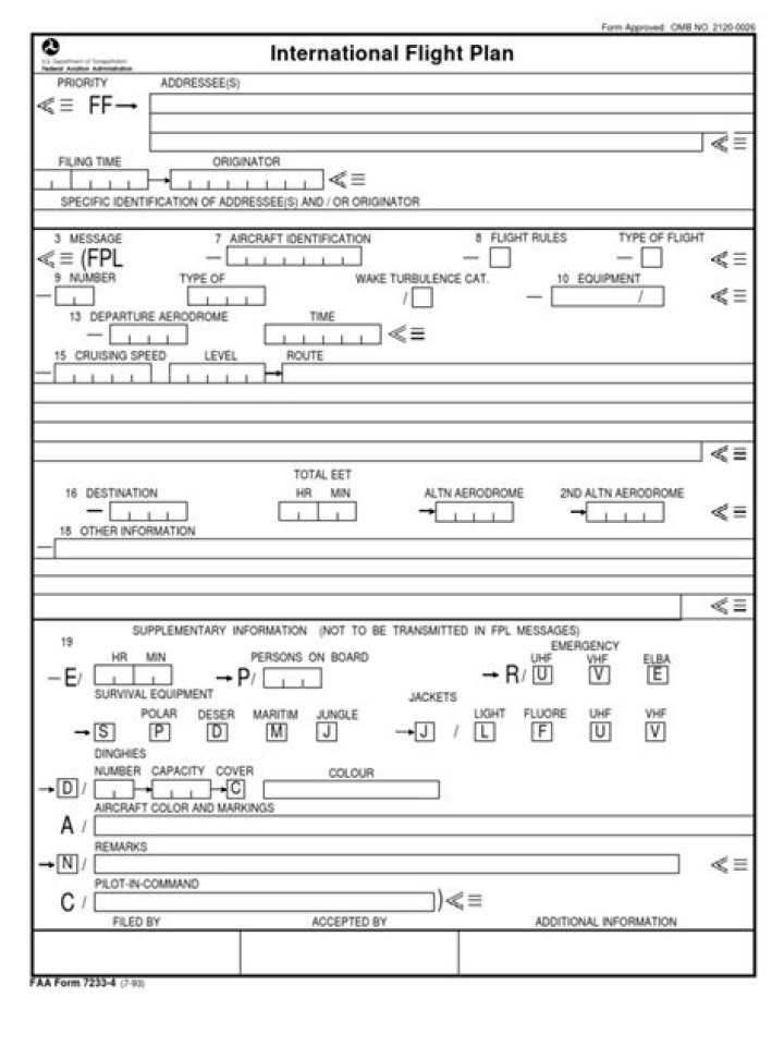 Download Your International Flight Plan PDF for Smooth Travel
