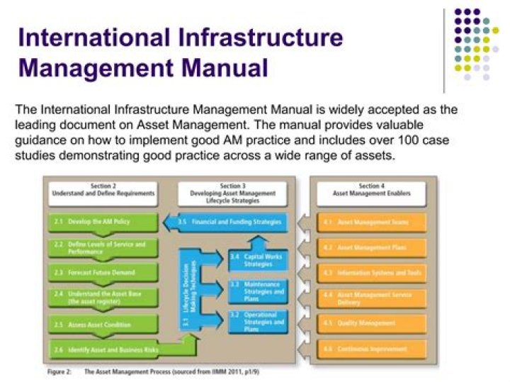 International Infrastructure Management Manual 2020 – Comprehensive PDF Guide