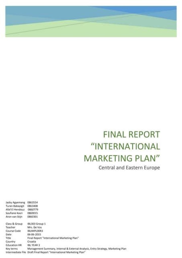 International Marketing Plan PDF: Master Global Campaigns