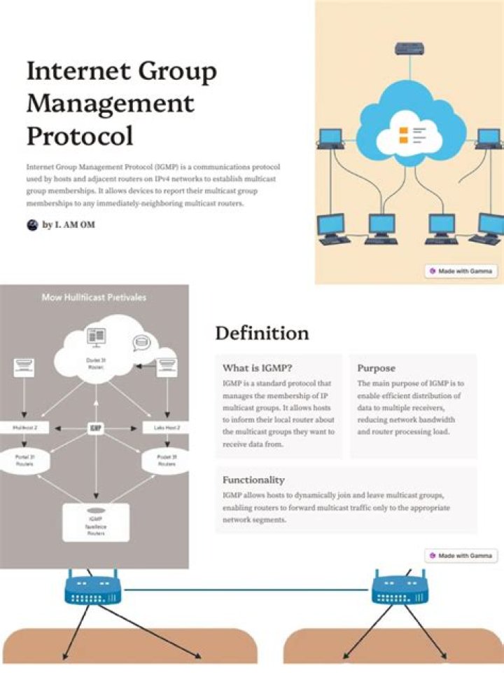 Download the Internet Group Management Protocol PDF Guide