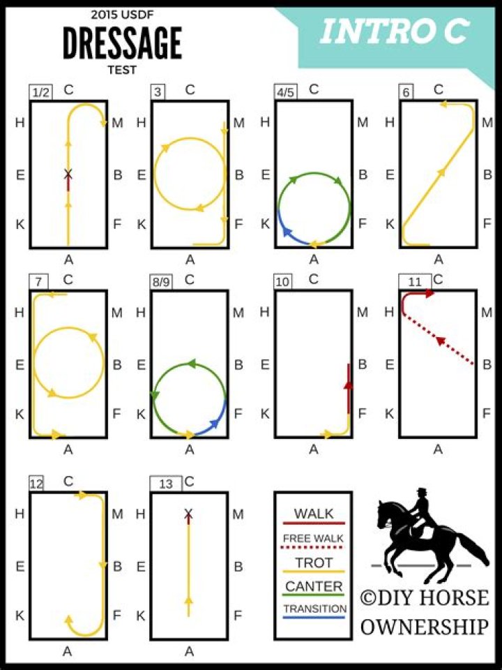 Intro to Dressage Test with Clear Diagrams PDF