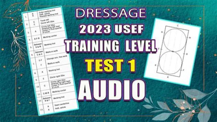 Intro B Dressage Test 2023: Essential Guide & PDF Download