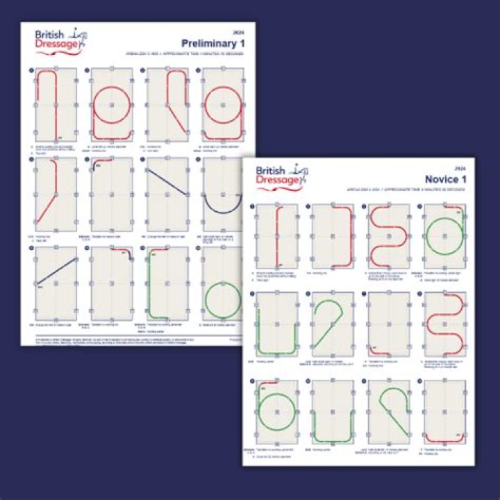 Intro B Dressage Test PDF: Beginner Guide & Practice Resources