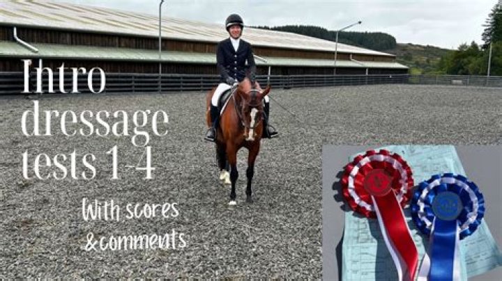 Intro Test B Dressage 2024 PDF: Essential Training Guide
