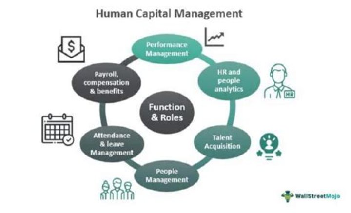 Introduction to Human Capital Management: A Comprehensive PDF Guide