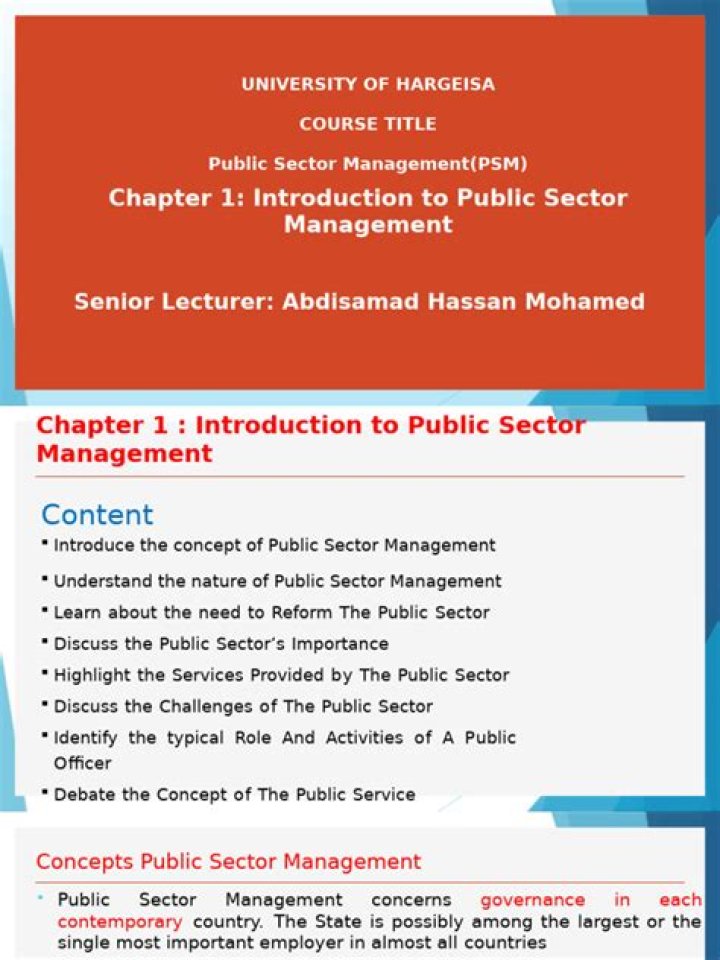 Introduction to Public Sector Management: A Practical PDF Guide