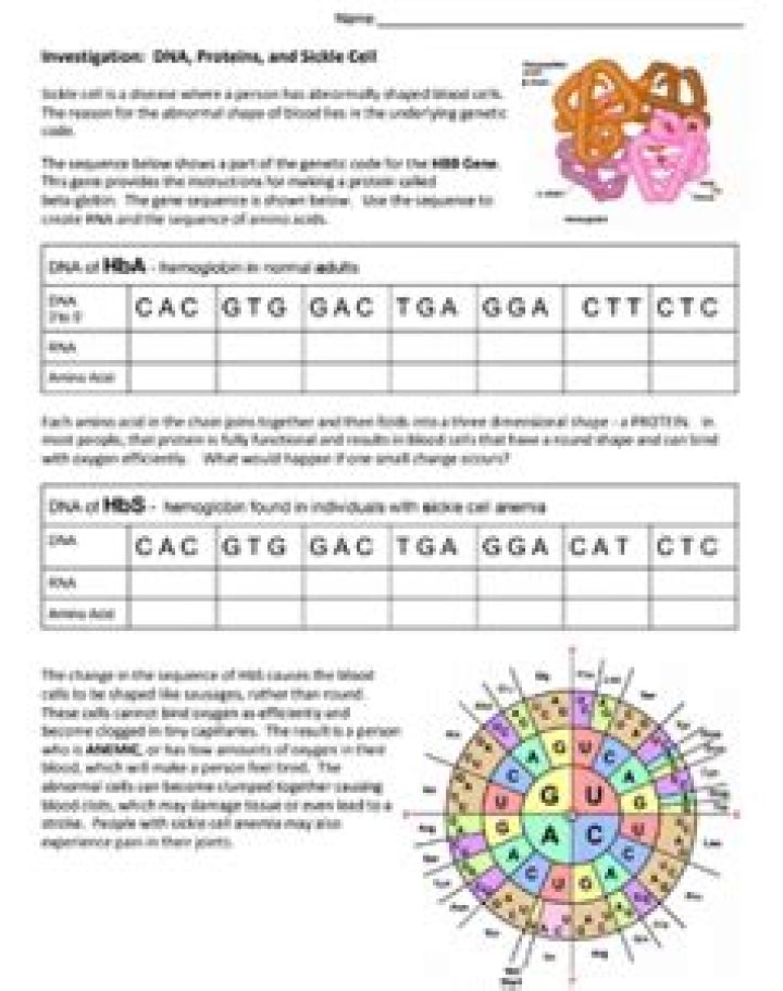 Sickle Cell DNA Protein Investigation Answer Key PDF