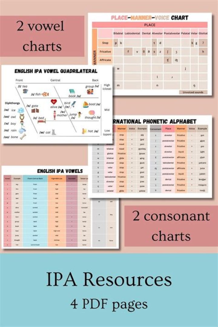 IPA Cheat Sheet PDF: Quick Reference for Music Producers