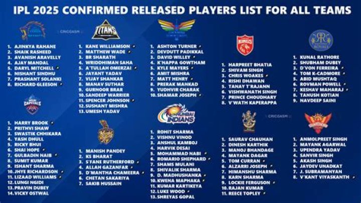 IPL 2025 Players List PDF: Complete Team Roster & Stats