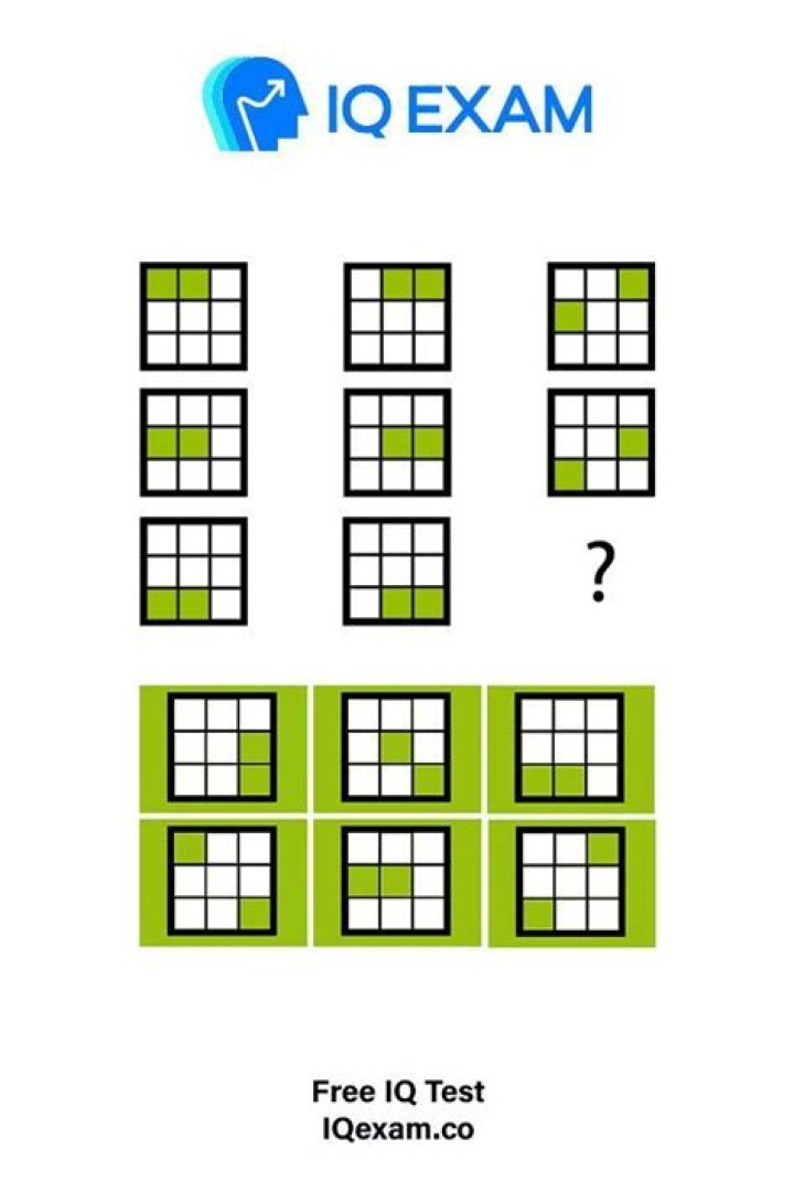 Download Free IQ Test in PDF – Instant Results