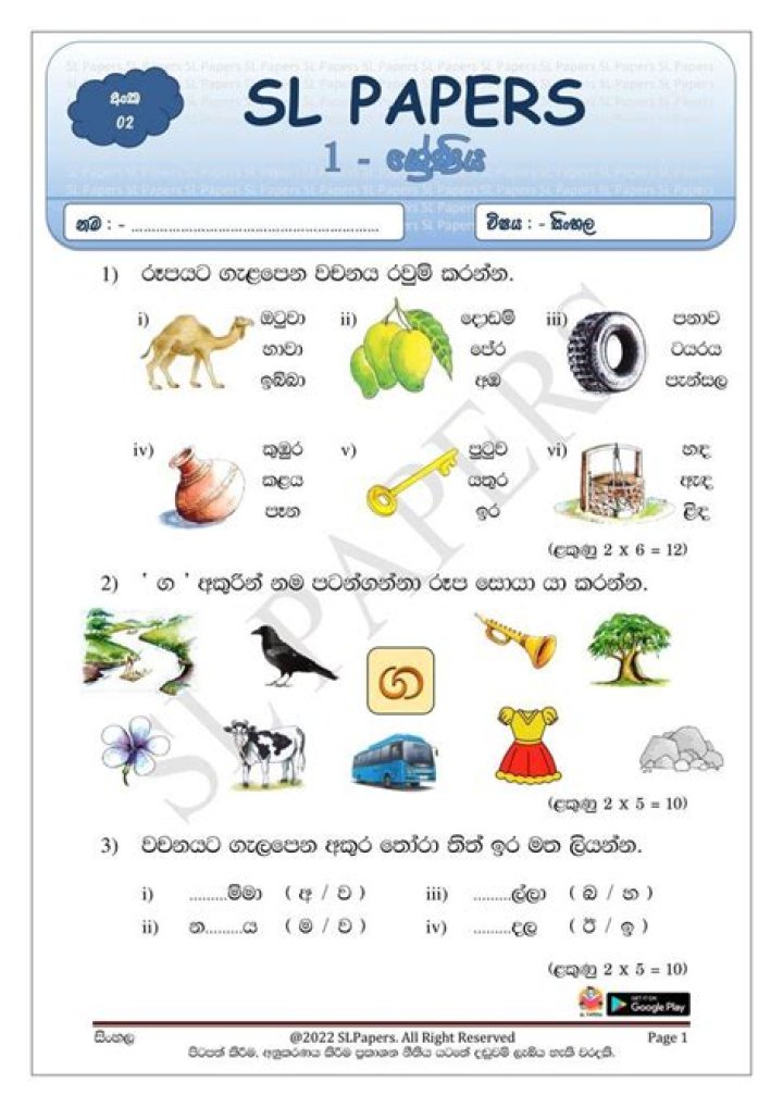 Free Download IQ Test Papers PDF in Sinhala – Practice Now