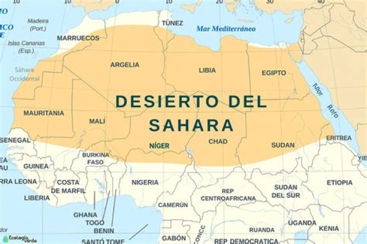 &iquest;Qui&eacute;n es Sahara Rose? Wiki, biograf&iacute;a, patrimonio, edad, esposo