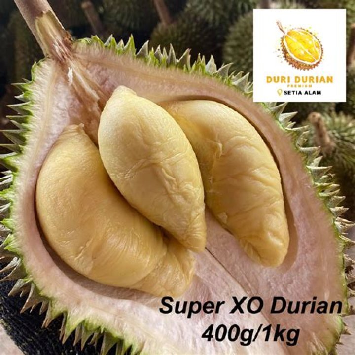 Is D24 same as Musang King?