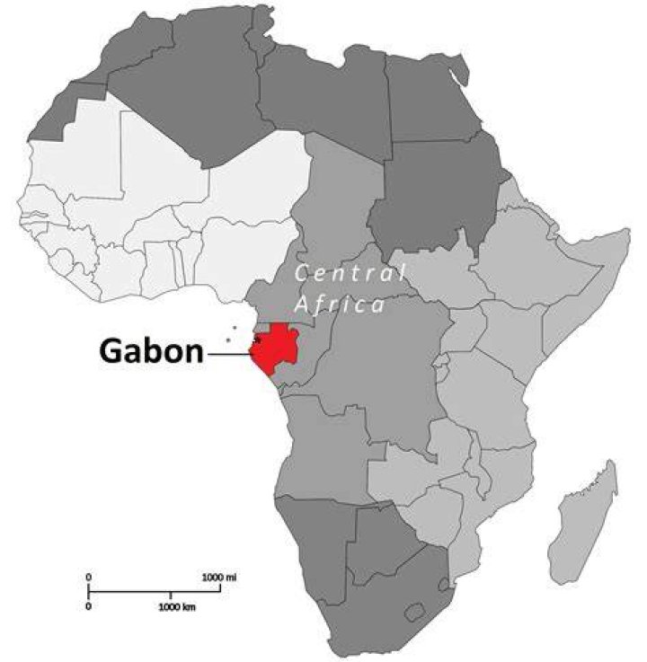 Is Gabon a US ally?