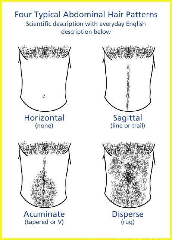 Is growing hair on your stomach normal?