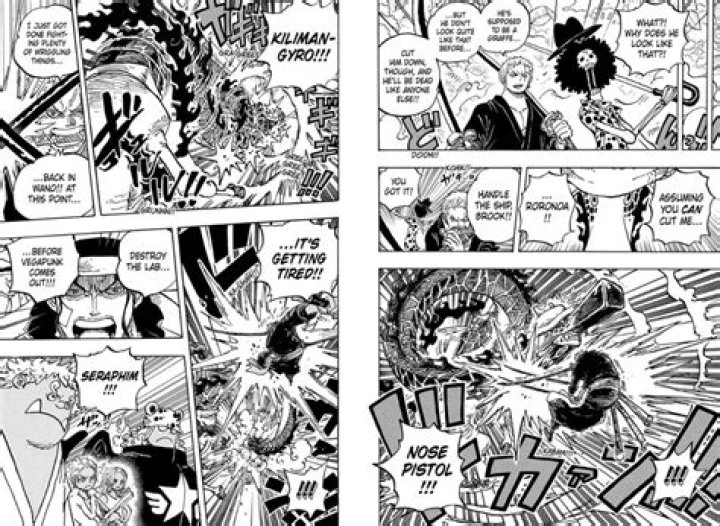 Is Kaku stronger than Zoro?