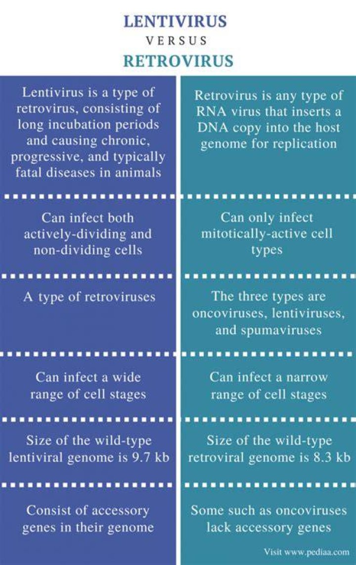 Is lentivirus a gamma retrovirus?