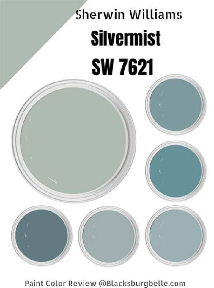 Is Sherwin Williams silvermist warm or cool?