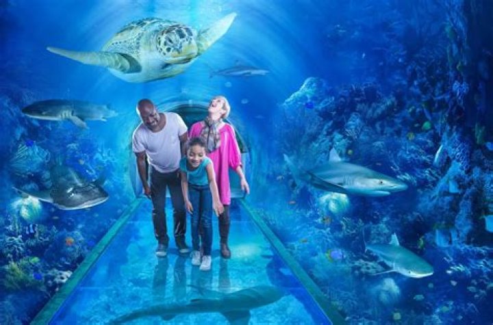 Is the Sea Life Centre ethical?