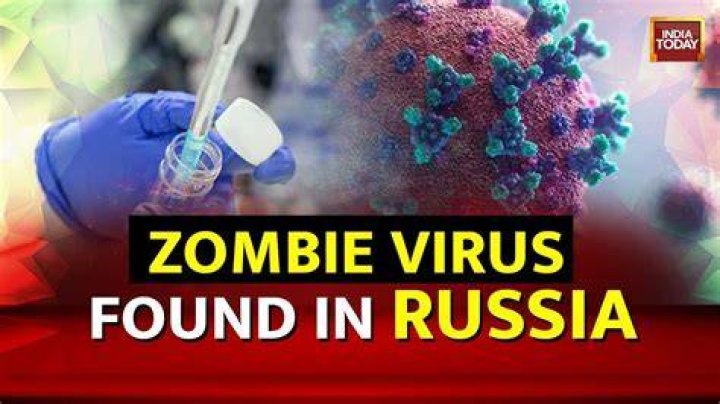 Is there a zombie in Russia?