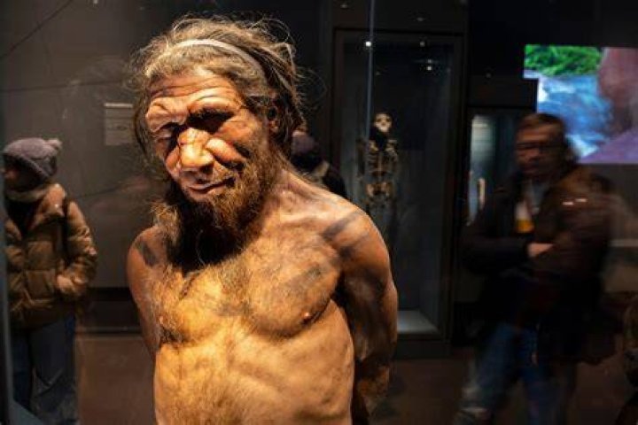 Is there evidence of Neanderthals?