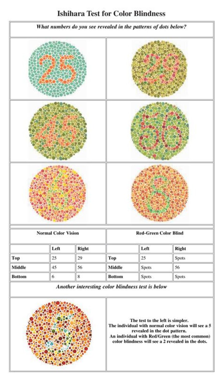 Ishihara Test PDF: Quick & Accurate Color Vision Screening